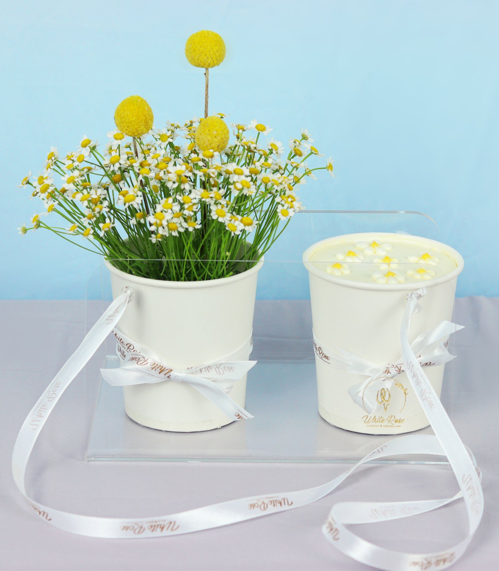 Daisy Cake Cup