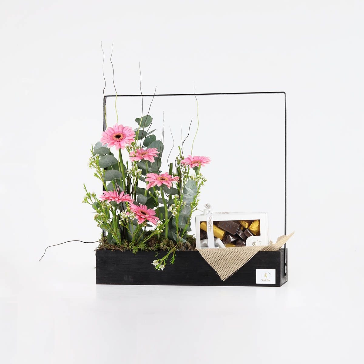 Chocolate Blooms - Gerbera Flower stand