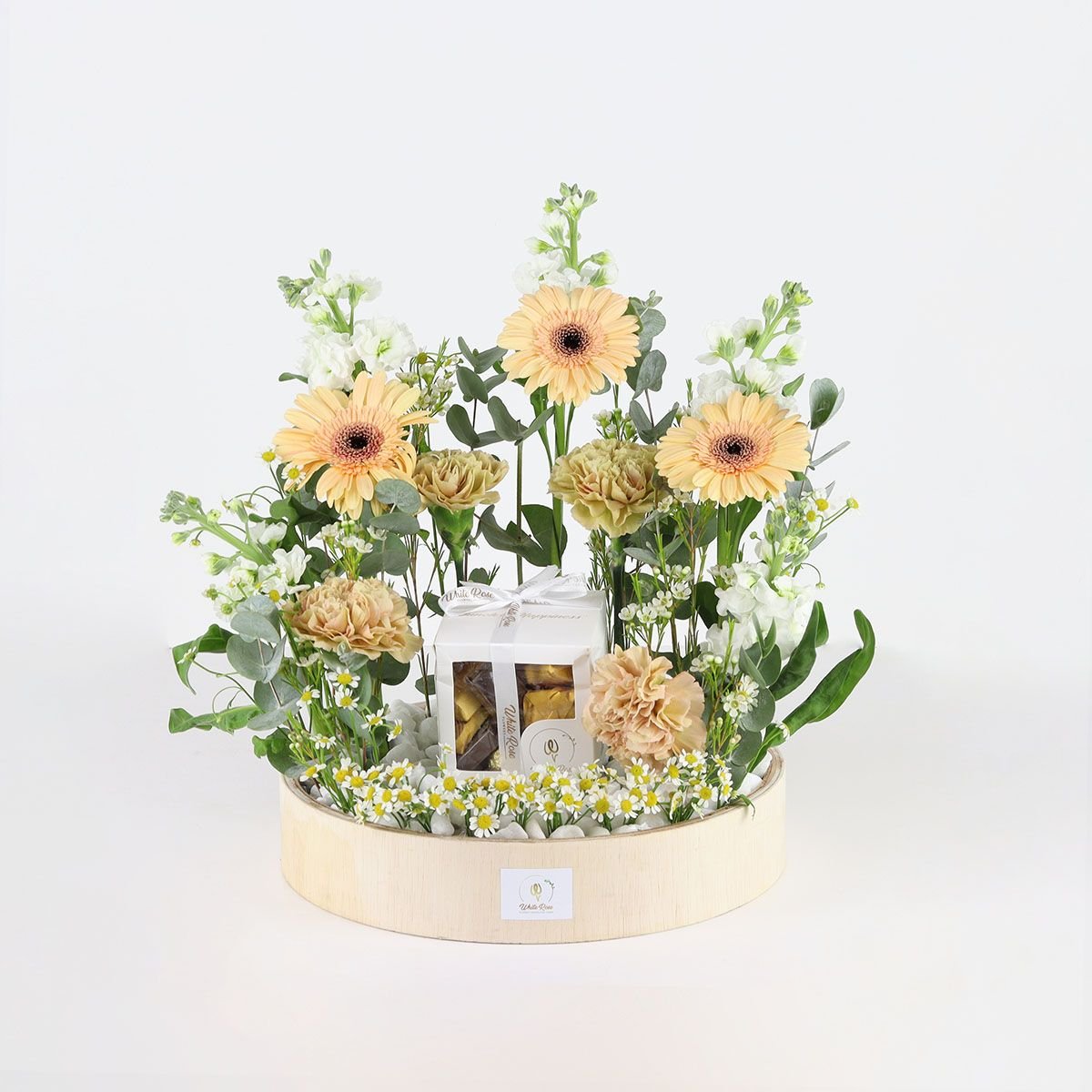 Chocolate Floral - Gerbera Flower Tray