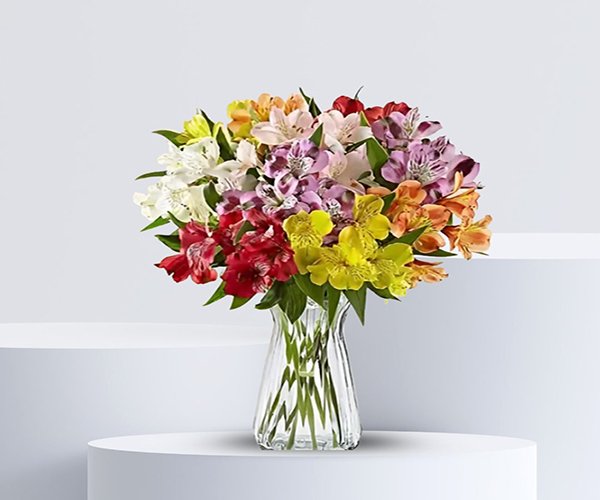 Mixed Alstroemeria Flower Vase