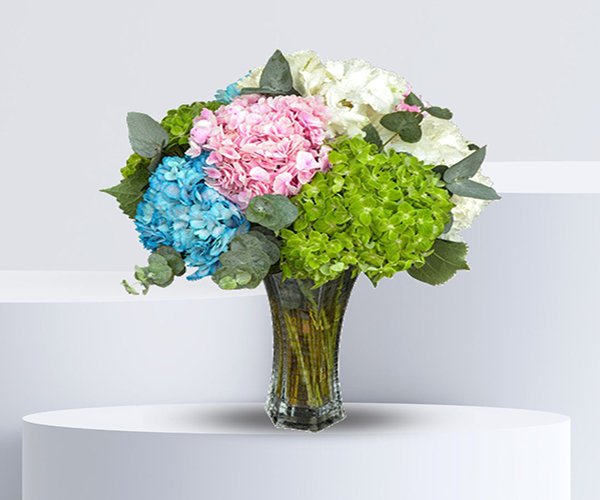 Mixed Hydrangea Vase Arrangement