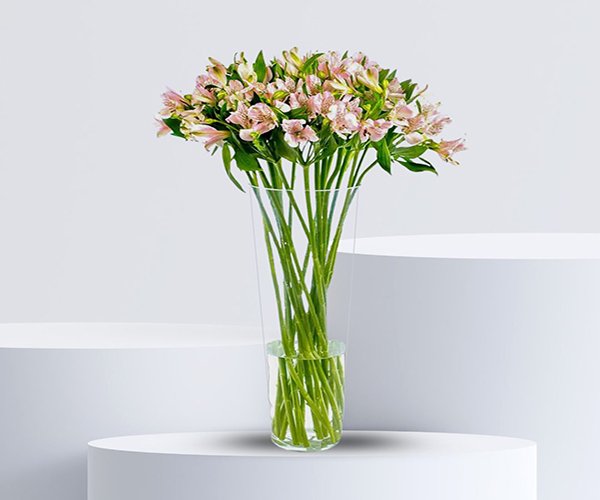 Pink Alstroemeria Flower Vase