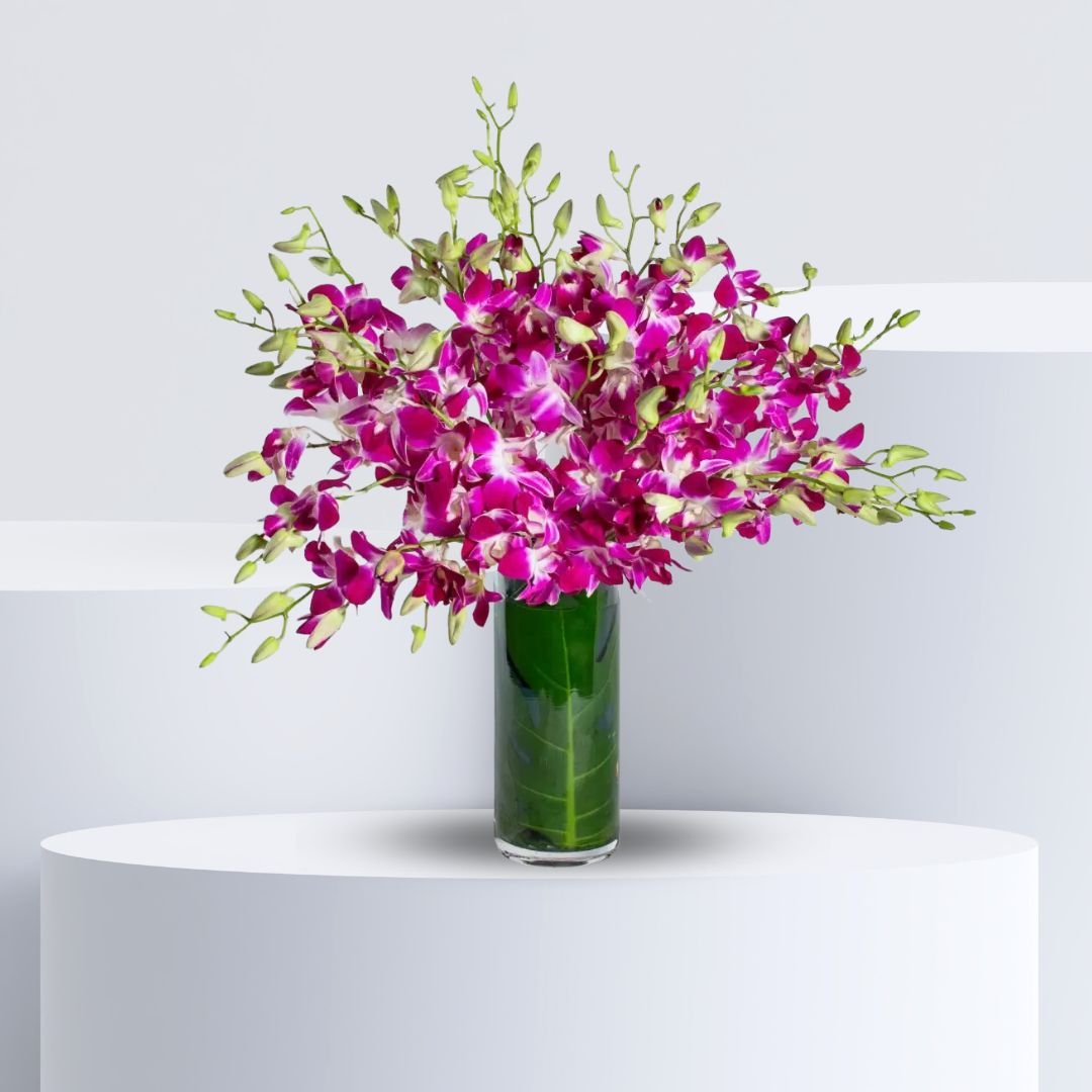 Purple Orchid Serenade Arrangement