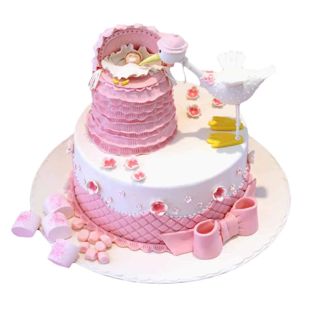 Bird Baby Shower Cake -3KG