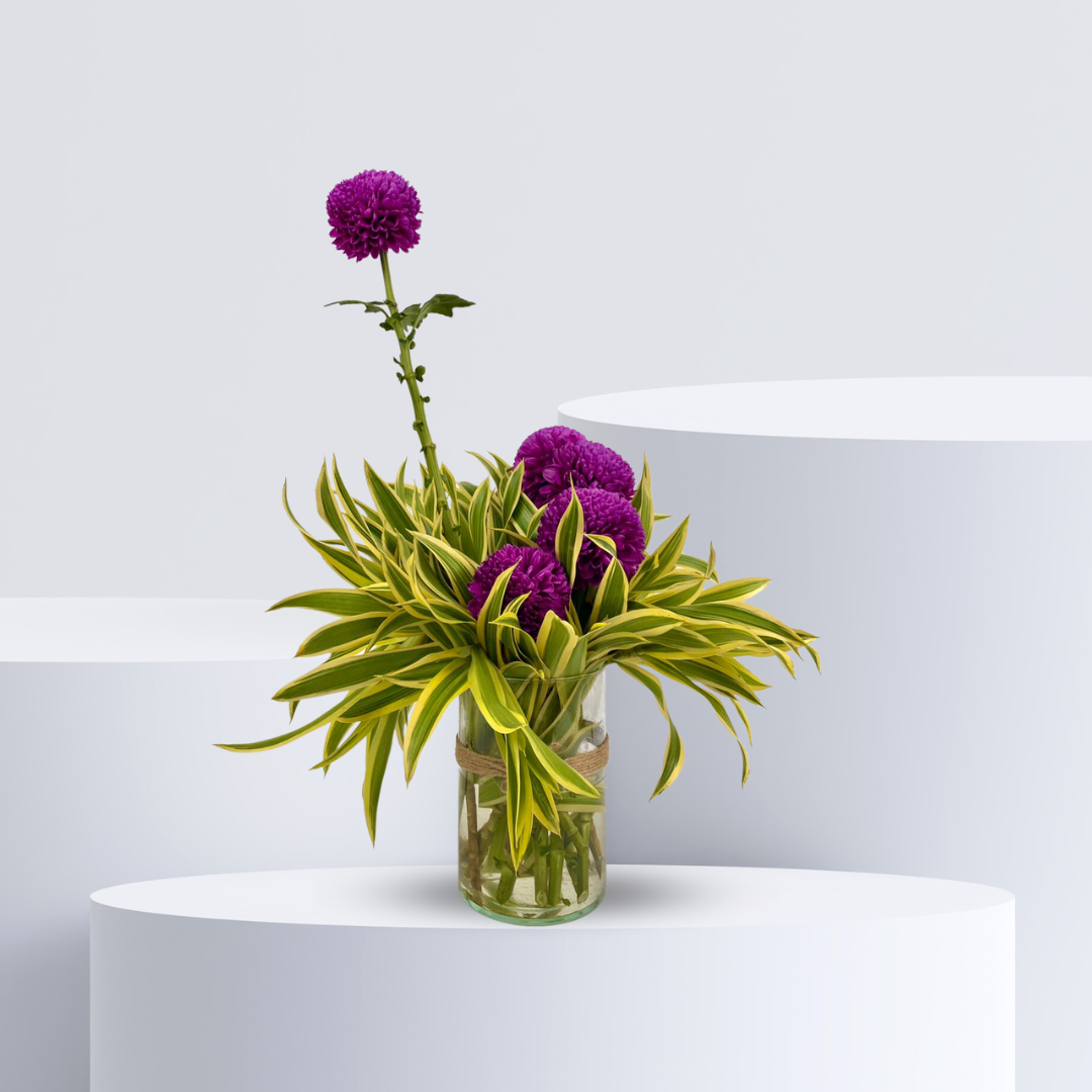 Chrysanthemum Arrangement