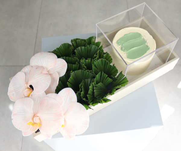 Phalaenopsis Bliss Tray and cake